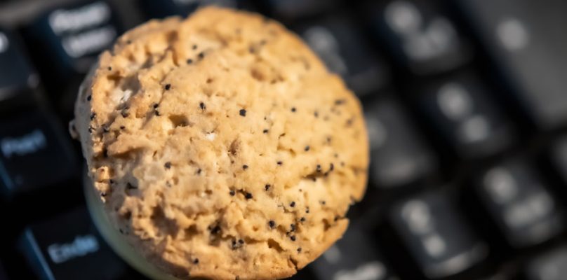 FLoC: la alternativa de Google a las cookies